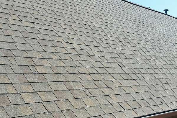 Asphalt Shingle Roof Replacement