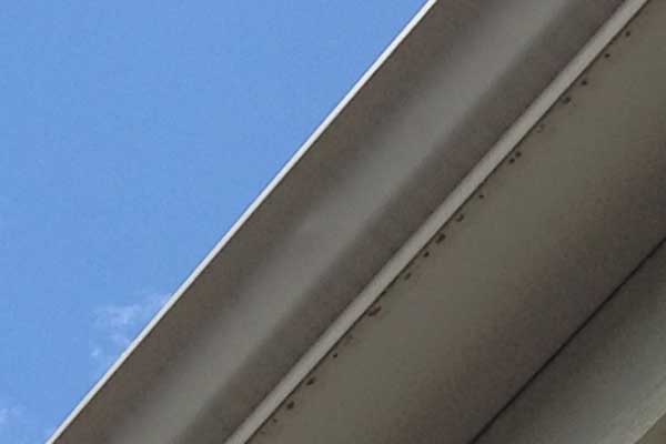 Gutter Repair Services