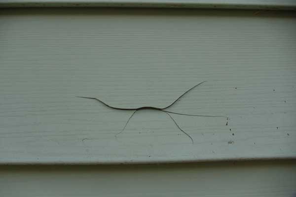 Siding Damage Restoration